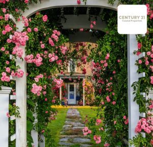 Screenshot 2026-03-06 170419